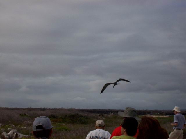 Galapagos-073