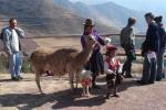 Road to Sacred Valley-2